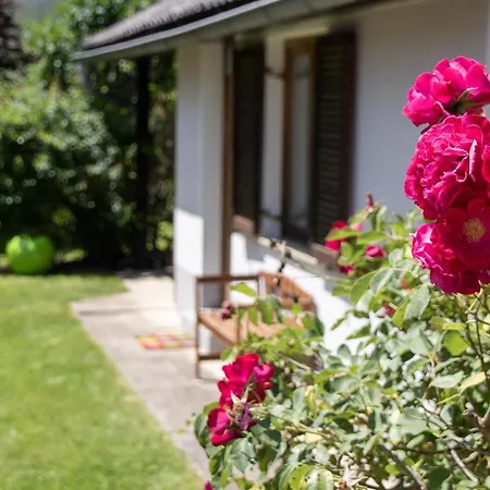Apfelhaus Holiday home *