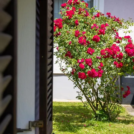 Apfelhaus Holiday home Wagna